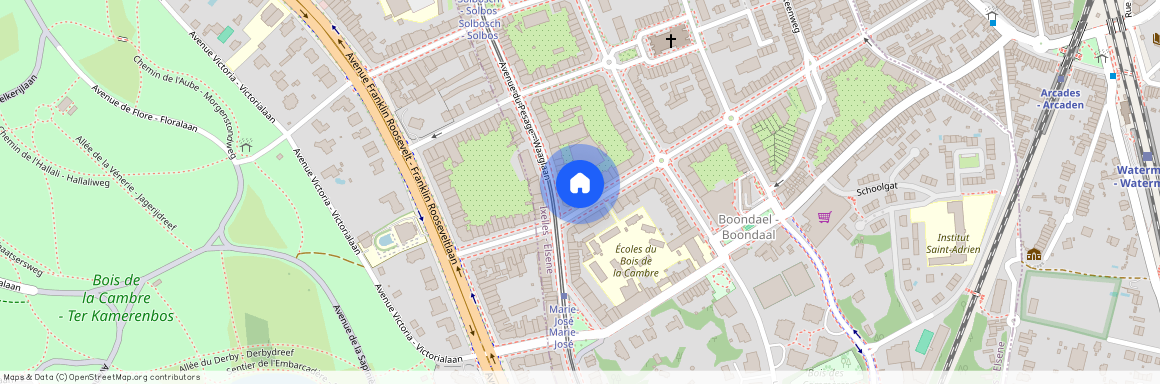 119, Avenue George Bergmann, Boondael, Ixelles, Bruxelles-Capitale, 1050, Belgique
