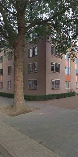 Chambre Dr Joop den Uylstraat 26/F, Eindhoven - À louer - Photo 1