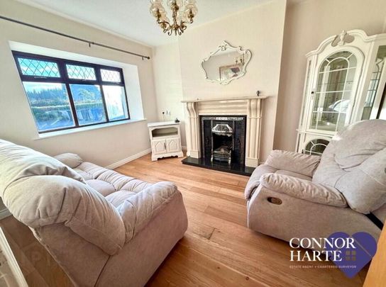 230 Barony Road, Creggan, Omagh, BT79 9AQ - Photo 1