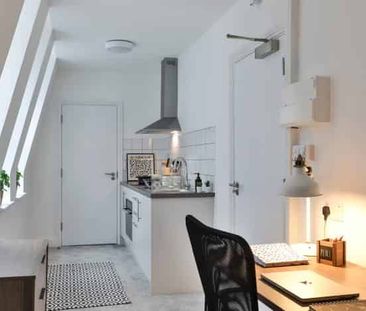 Platinum Penthouse Studio - Photo 3