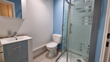 Location Appartement 1 pièce 20m² - Photo 4