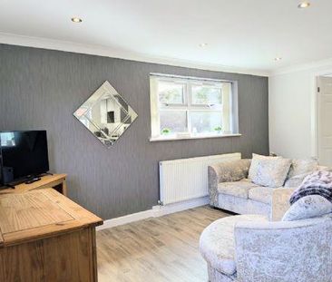 1 bedroom park home to rent - Photo 1