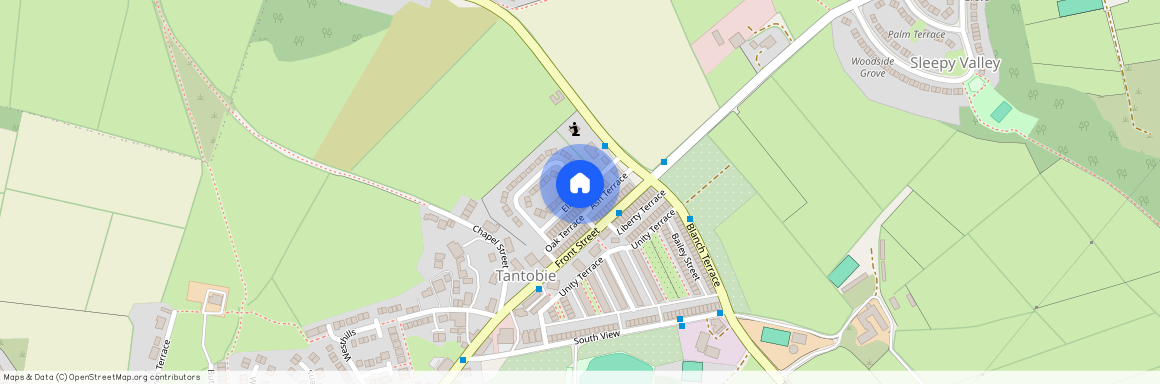 Elm Terrace, Stanley DH9