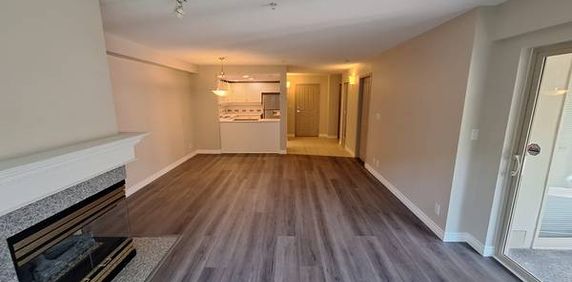 Spacious NEWLY Renovated 1 Bedroom with Private Terrace - Photo 2