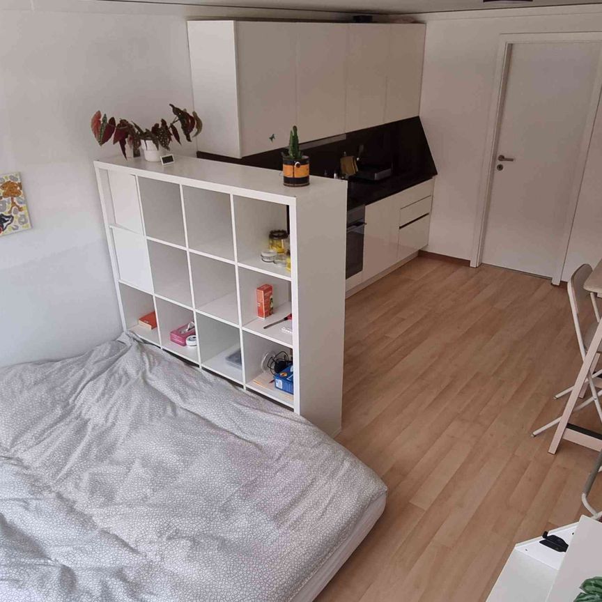1.5 Zimmer, 25 m², EG - Foto 1