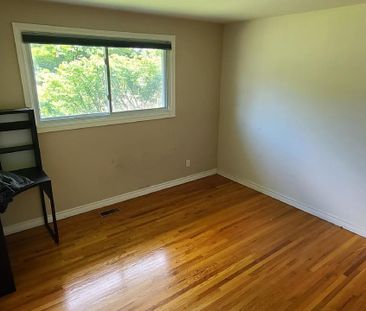 27 David Drive - Photo 6