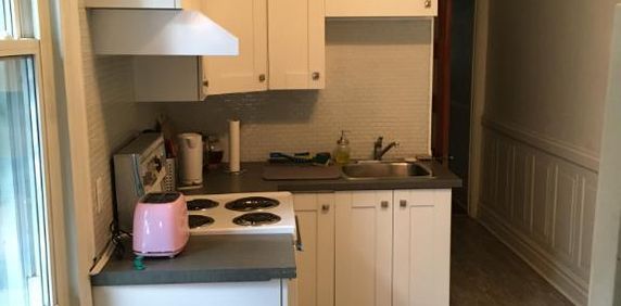 Très grand 4 1/2 Plateau Mont-Royal - Photo 2