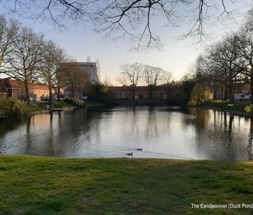 EINDHOVEN, Keldermansstraat - Photo 6