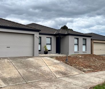 Freshly Renovated & Move-In Ready! - Photo 6