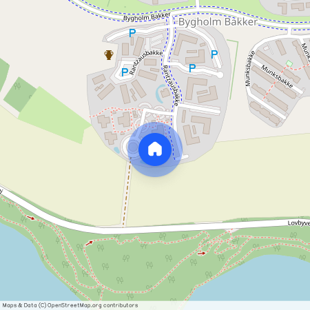 Rantzausbakke 80, 2. Tv, 8700, Horsens