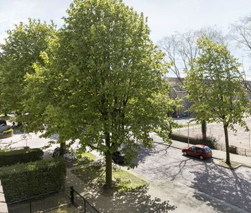 Van Oldenbarneveldtstraat - Photo 5