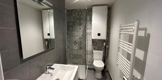 Location Appartement 1 pièce 21m² NANTES 44200 - Photo 3
