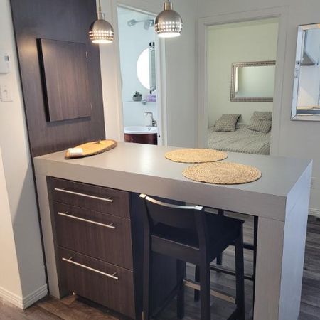 3,5 Beau frais peinturé et meublé de A a Z terrasse sur le toit - Photo 4