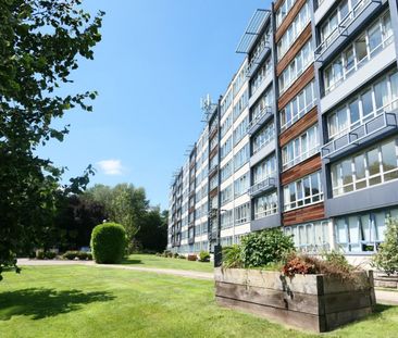 2 bedroom Flat To Let - Photo 6