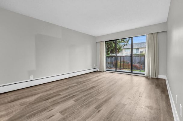 Maple Manor Apartments - Photo 1