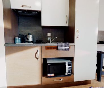 Copper Studio Plus - Photo 2