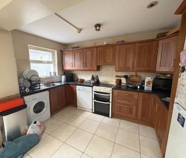 49 Lower Windsor Avenue, Belfast, BT9 7DW - Photo 6