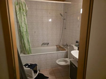 Lease renewal – 3.5 rooms, Salavaux (Route d’Avenches 12) to 18.11.2025 - Photo 3