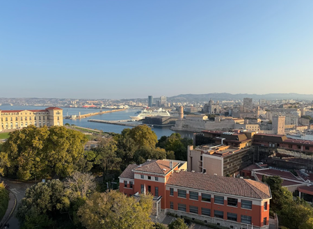 Pharo Sunsea* - Photo 5