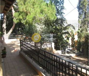 Μονοκατοικία για ενοικίαση Κάτω Καλέσια (Γάζι) - Φωτογραφία 4