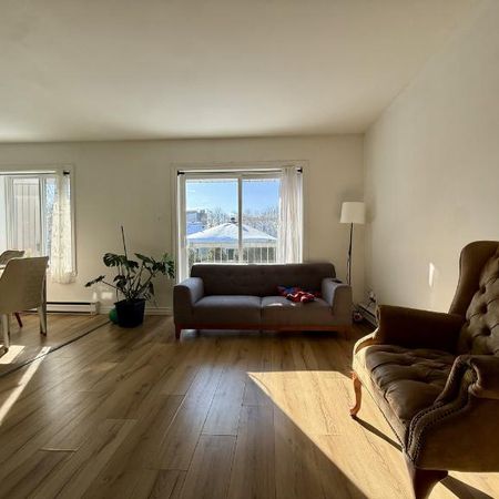 Appartement 4 ½ à louer Lévis juillet 2026 - Photo 3