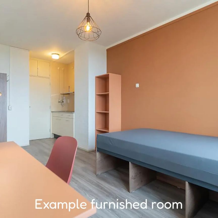 Chambre étudiante indépendante meublée, Bornsesteeg, Wageningen - À louer - Foto 1