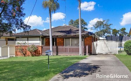 18 Banool Avenue, South Penrith, NSW 2750 - Photo 4