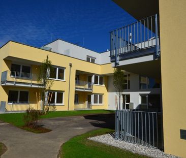 Betreutes Wohnen in St. Valentin – schöne 2 Zimmerwohnung mit Loggia - Foto 1
