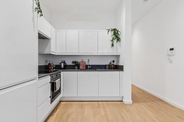 Studio to rent - Photo 1