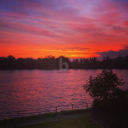 HELL UND MODERN, DIREKT AM RHEIN - Photo 3