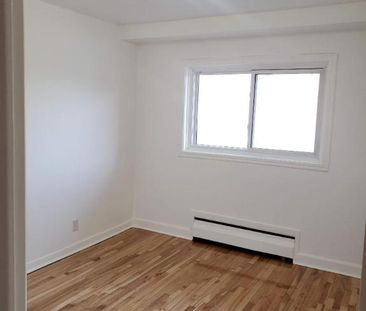 1 CH - 1 SDB - Montréal - $1,300 /mo - Photo 2