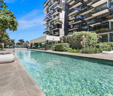 3 Carlton Street, Chippendale NSW 2008 - Apartment For Rent | Domain - Photo 6
