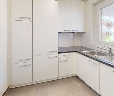 3 Zimmer, 65 m², EG - Photo 3