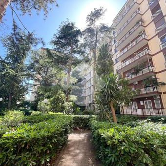 5 locali in affitto - Photo 3