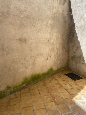 Location Appartement 2 pièces 43m² COGNAC 16100 - Photo 5