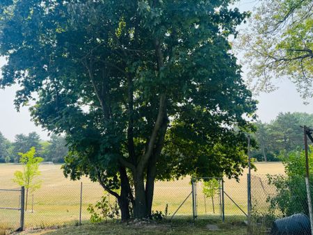 For Lease - 272 Essex (Work Out Basement) Avenue, Richmond Hill, Ontario - Photo 4