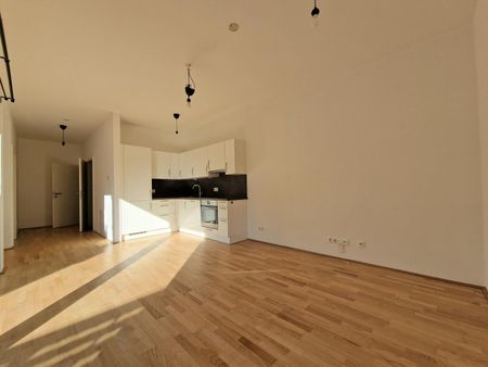 Schicke Neubauwohnung mit kl. Garten in idyllischer Ruhelage - Photo 5