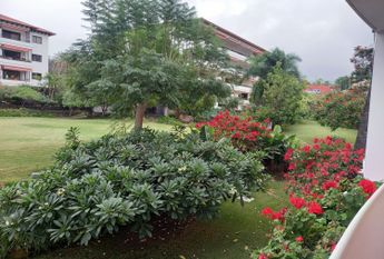 Piso En alquiler Calle Luis Rodríguez Figueroa, Distrito Botánico, Puerto de la Cruz