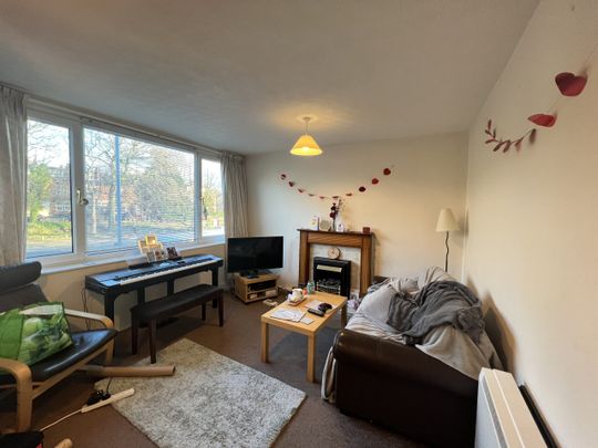 Queenswood Drive - Photo 1