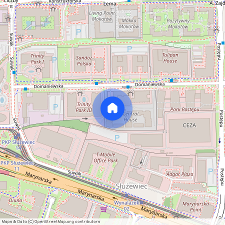 ul. Domaniewska, Służewiec, Mokotów, Warszawa, mazowieckie