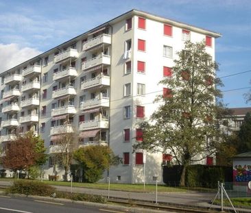 A saisir ! Splendide logement à deux pas du métro m1 ! - Foto 5