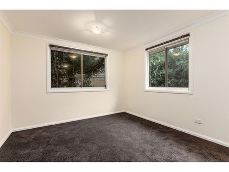 14A Alfred Street, Annandale NSW 2038 - House For Rent | Domain - Photo 2