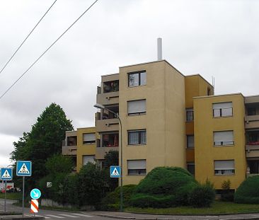 Große 3-Zimmer-Wohnung auf dem Zollberg! - Foto 1