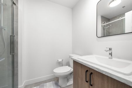 40 Rue Toe-Blake, #202 - Photo 4