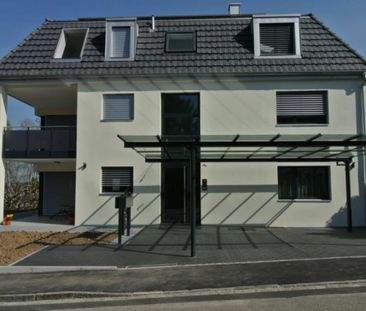 2.5 Zimmer, 90 m², 2. Stock - Photo 3