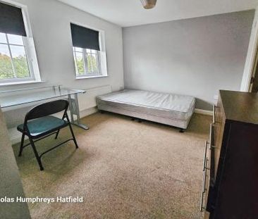 Cunningham Avenue, Hatfield, AL10 - Photo 4