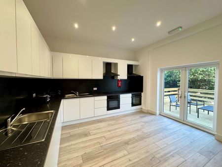 Modern Studios in a shared house in L9, bills included R6 - Photo 4