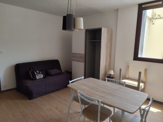 Location Appartement 1 pièce 24m² CAHORS 46000 - Photo 1
