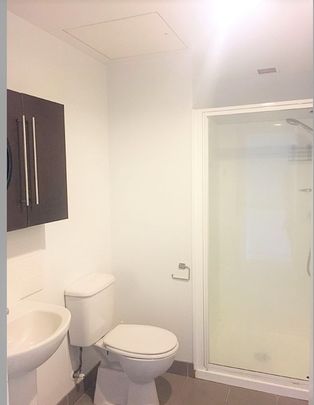 Centrally located Furnished 1 bedroom apartment - Photo 1