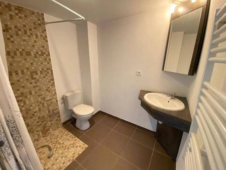 Location appartement 1 pièce 21.4 m² à Montpellier (34000) - Photo 4